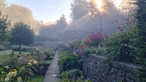 A misty autumn morning in the rose garden at Castle Drogo, Devon